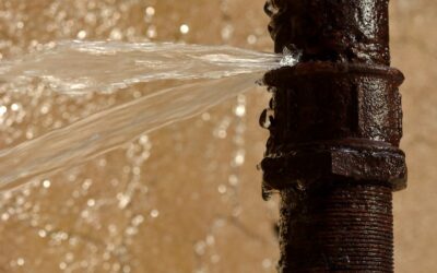 Water Restoration Breakdown – Lake Forest Plumbing