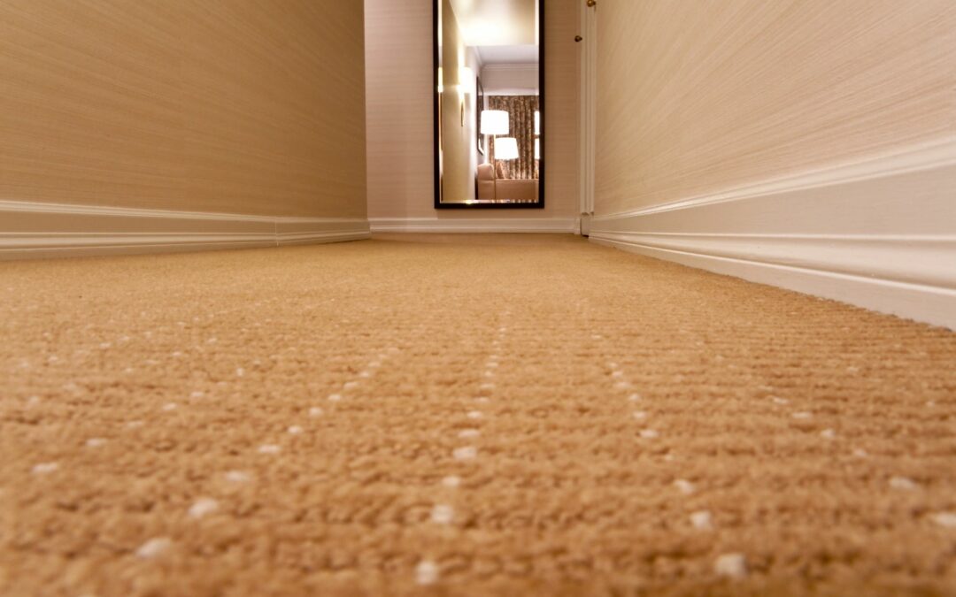 Carpet Mold Is No Fun – Lake Forest Plumbing