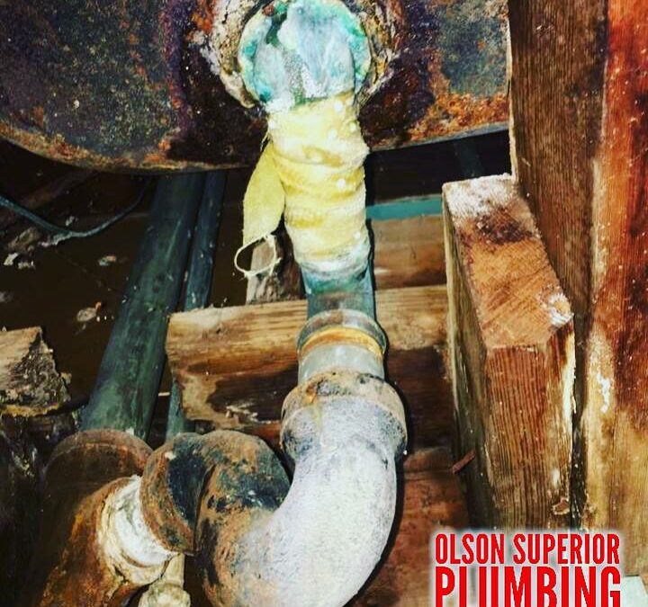 Having A Flood Equals Mold – Lake Forest Plumbing Company