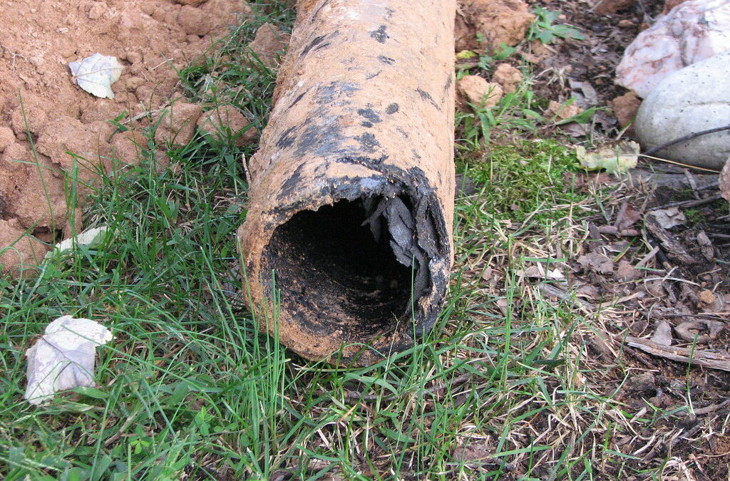 Learn How To Handle Sewer Line Issues