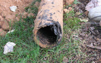 Learn How To Handle Sewer Line Issues