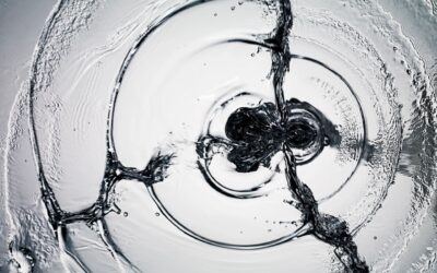 What To Do When Water Is Backing Up in Your Home