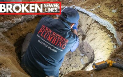 Signs You Might Have A Broken Sewer Line