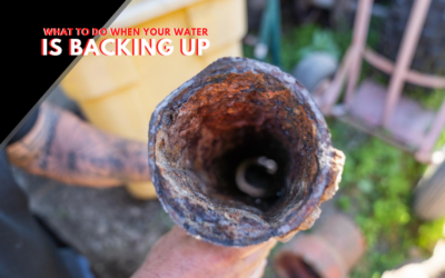 What To Do When Water Is Backing Up
