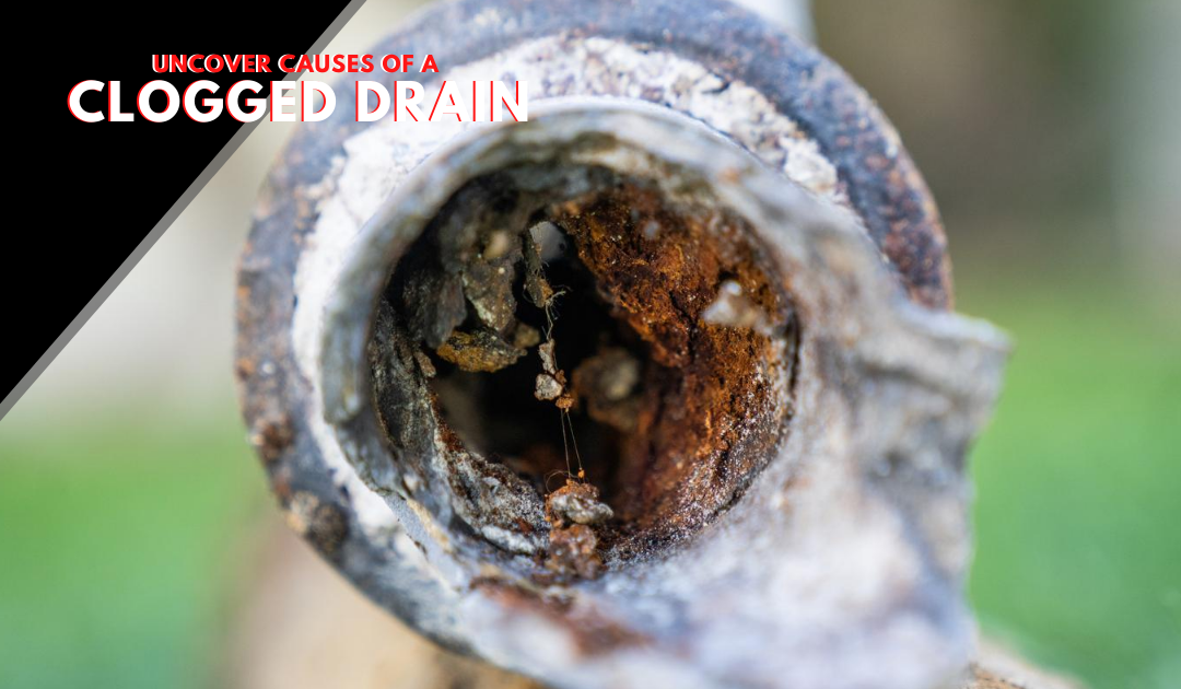 Uncover The Causes Of A Clogged Drain