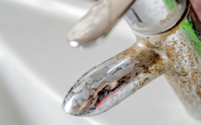 The Effect of Hard Water on Your Home: A Local Perspective